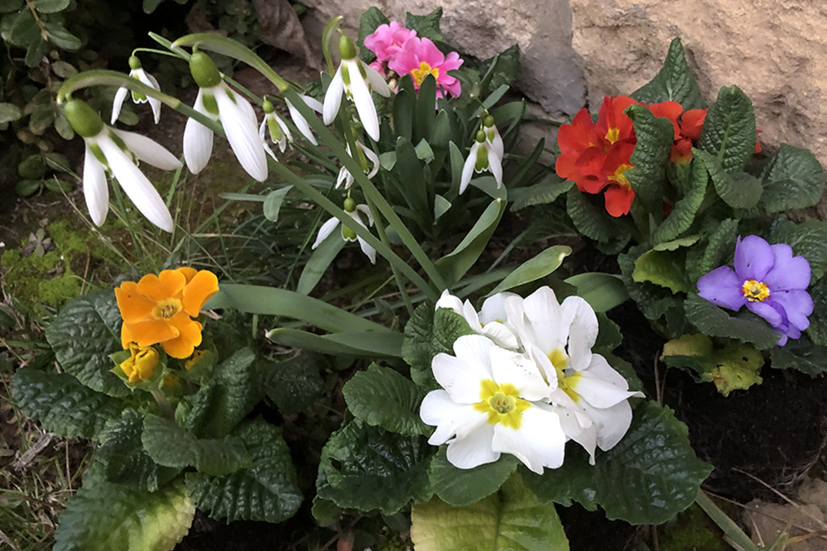 Ein schöner Tag: Am 18. März gibt es beim Frühlingsmarkt in der Tagespflege Hann. Münden viel zu entdecken.